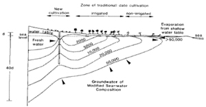 Please klick to enlarge