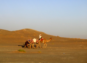 Beduin with his belongings